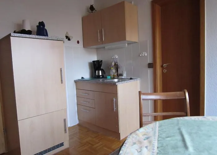 Apartament Freynik